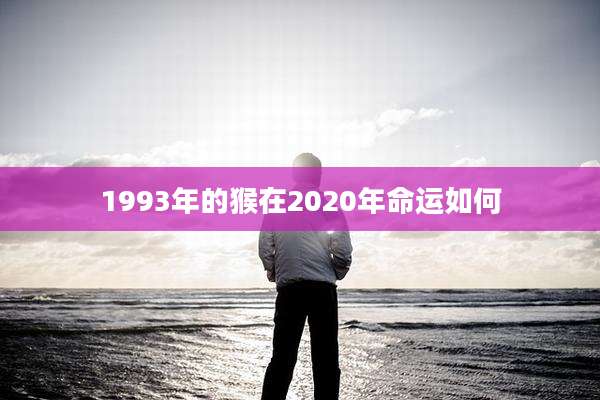 1993年的猴在2020年命运如何