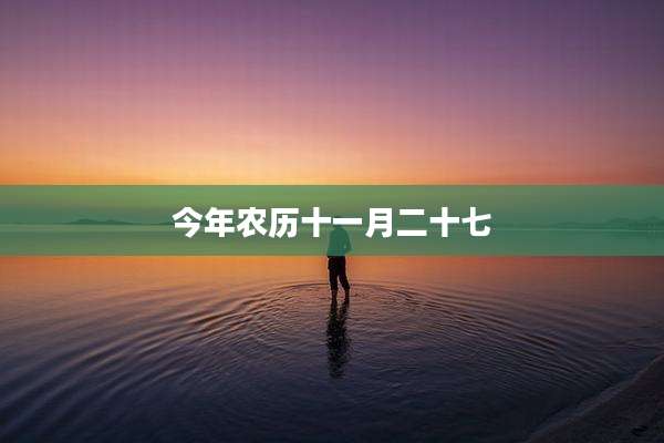 今年农历十一月二十七