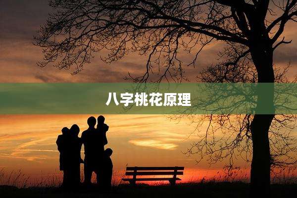 八字桃花原理