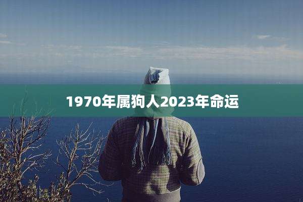 1970年属狗人2023年命运