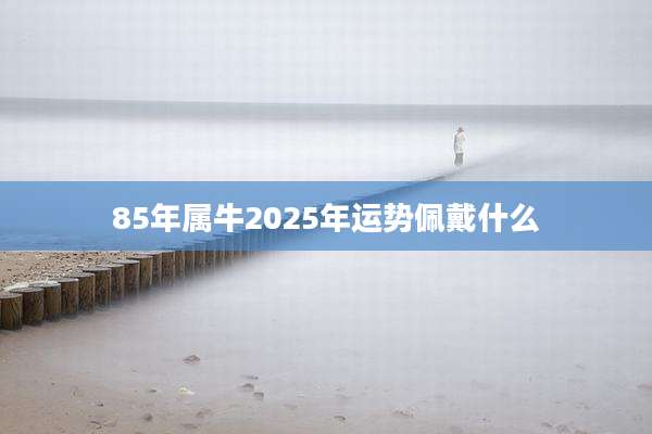 85年属牛2025年运势佩戴什么