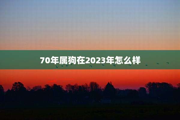 70年属狗在2023年怎么样