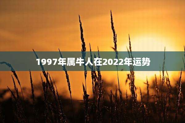 1997年属牛人在2022年运势