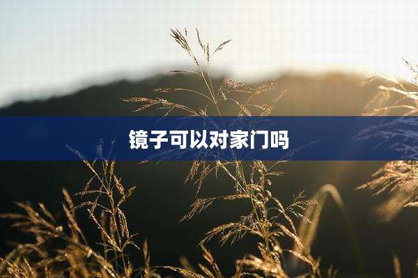 镜子可以对家门吗