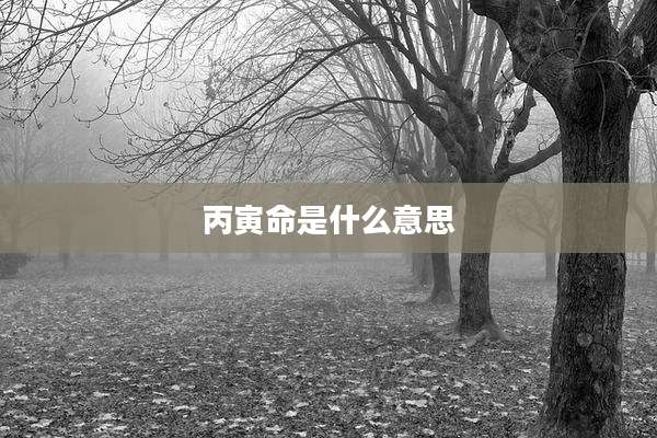 丙寅命是什么意思