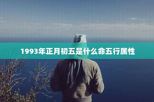 1993年正月初五是什么命五行属性