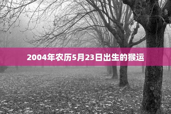 2004年农历5月23日出生的猴运