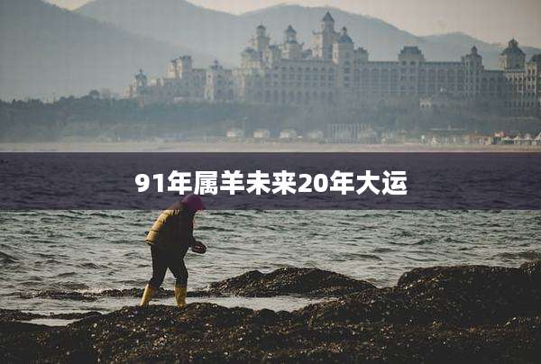 91年属羊未来20年大运