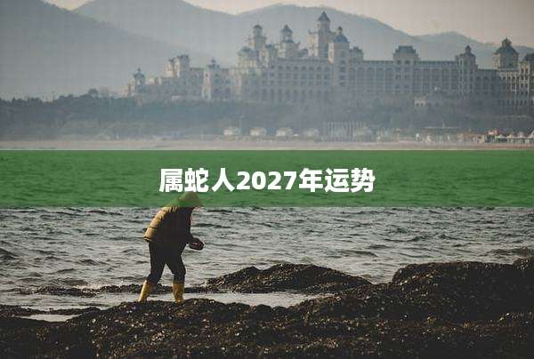 属蛇人2027年运势