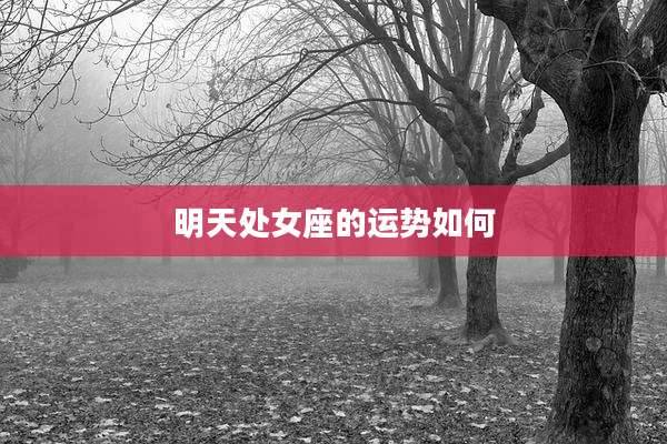 明天处女座的运势如何