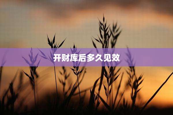 开财库后多久见效