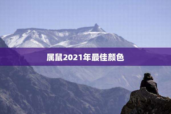 属鼠2021年最佳颜色