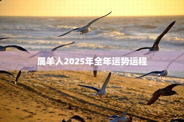 属羊人2025年全年运势运程