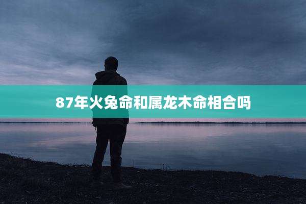 87年火兔命和属龙木命相合吗
