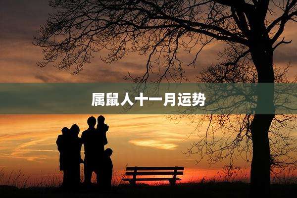 属鼠人十一月运势