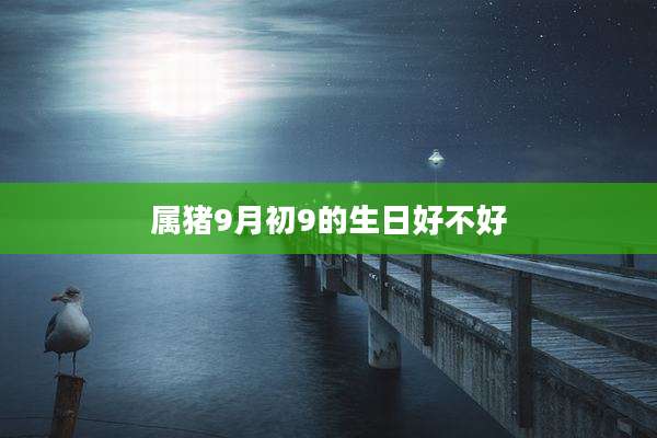 属猪9月初9的生日好不好