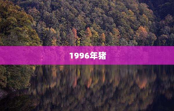 1996年猪