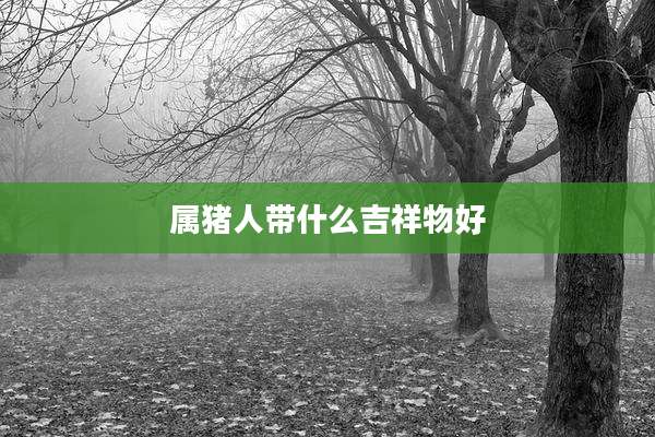 属猪人带什么吉祥物好