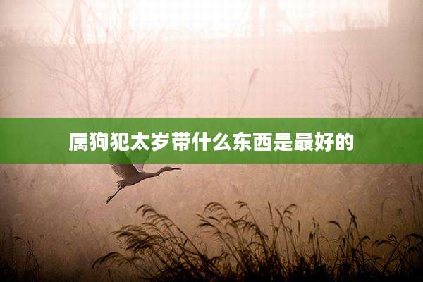 属狗犯太岁带什么东西是最好的