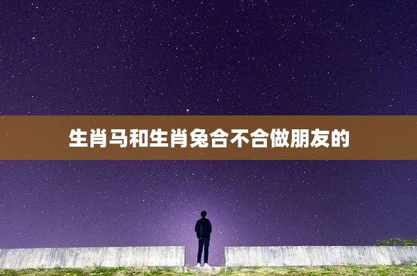 生肖马和生肖兔合不合做朋友的