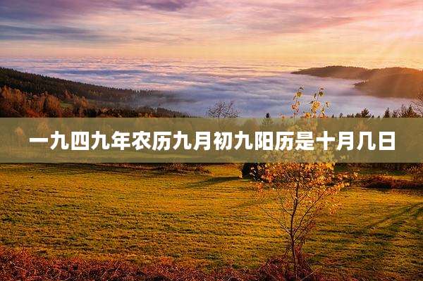 一九四九年农历九月初九阳历是十月几日