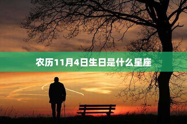 农历11月4日生日是什么星座
