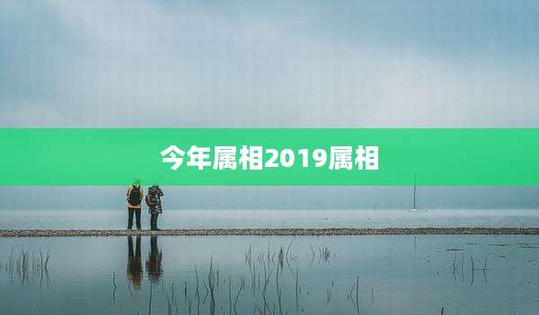 今年属相2019属相