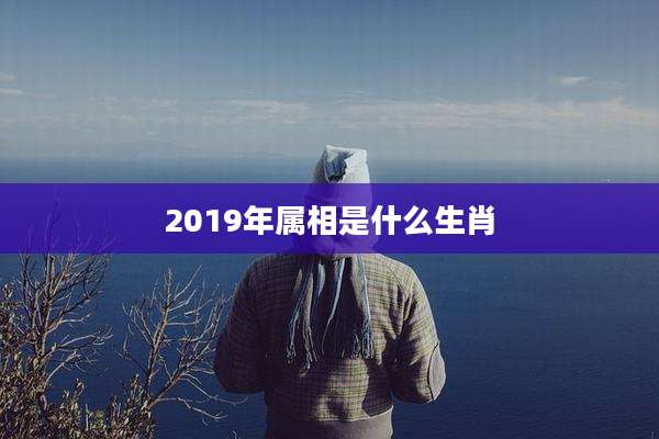 2019年属相是什么生肖