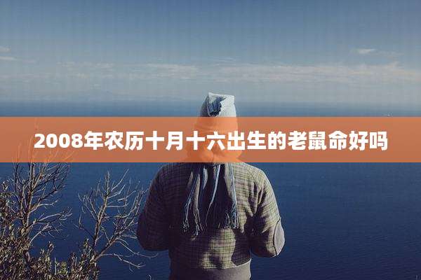 2008年农历十月十六出生的老鼠命好吗