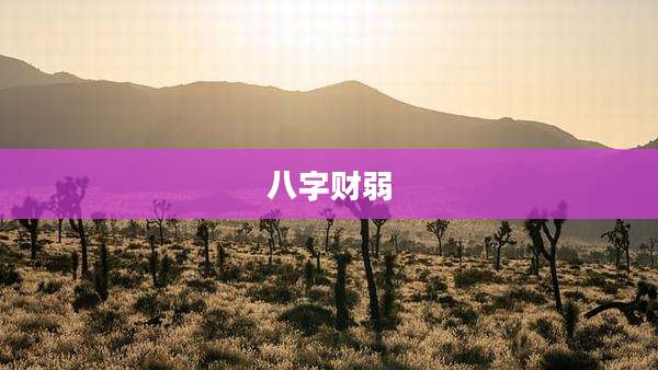 八字财弱
