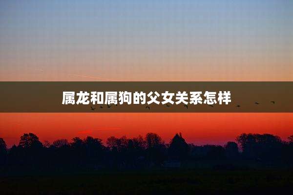 属龙和属狗的父女关系怎样