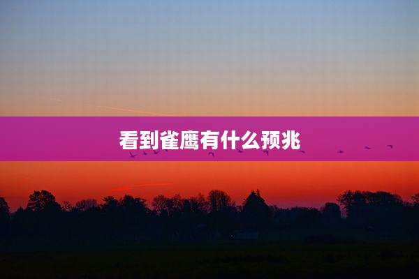 看到雀鹰有什么预兆