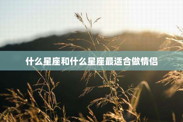 什么星座和什么星座最适合做情侣