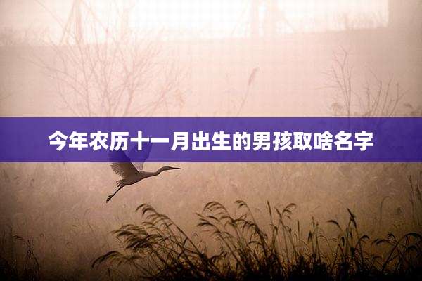 今年农历十一月出生的男孩取啥名字