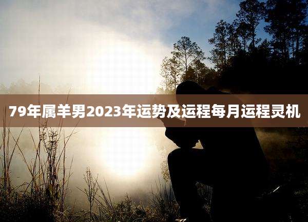 79年属羊男2023年运势及运程每月运程灵机