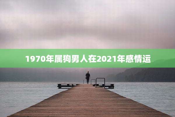 1970年属狗男人在2021年感情运