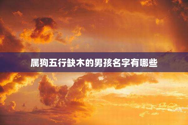 属狗五行缺木的男孩名字有哪些