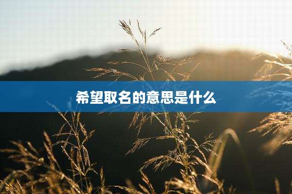 希望取名的意思是什么