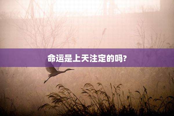 命运是上天注定的吗?