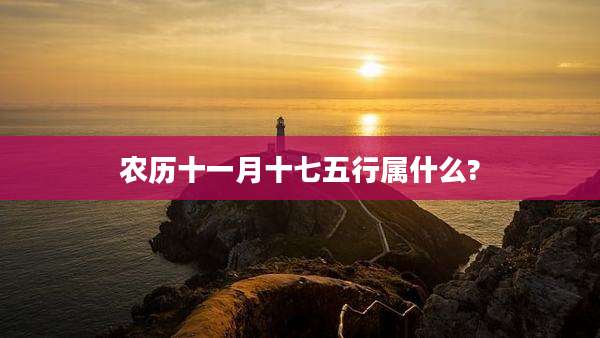 农历十一月十七五行属什么?