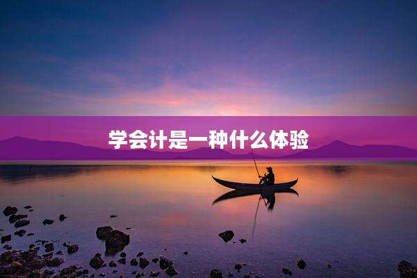 学会计是一种什么体验