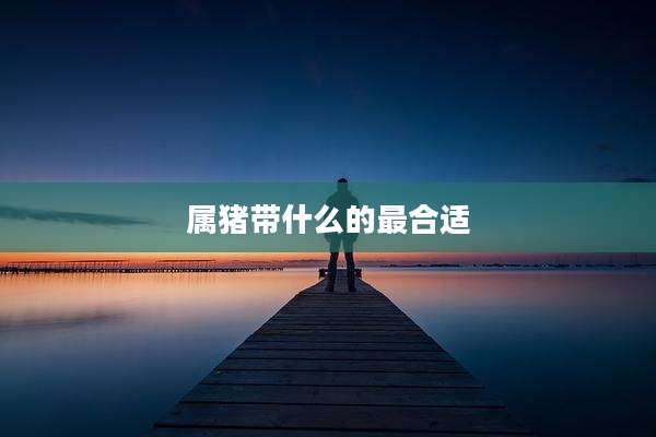 属猪带什么的最合适