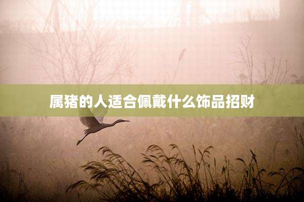 属猪的人适合佩戴什么饰品招财