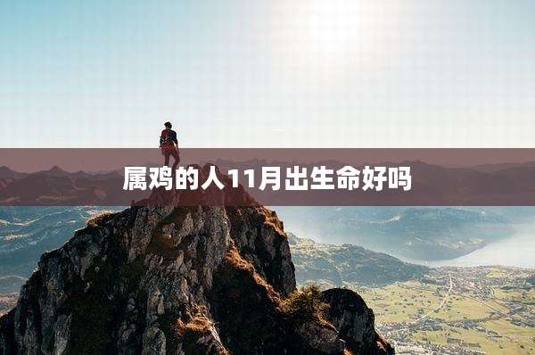 属鸡的人11月出生命好吗