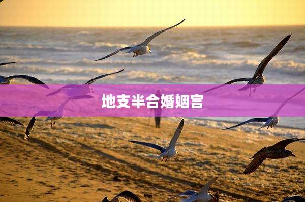 地支半合婚姻宫