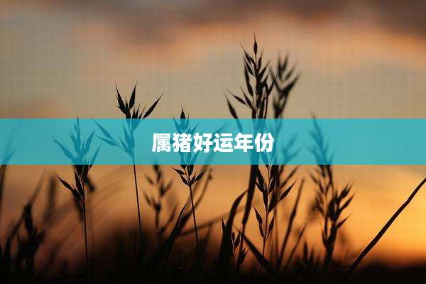 属猪好运年份