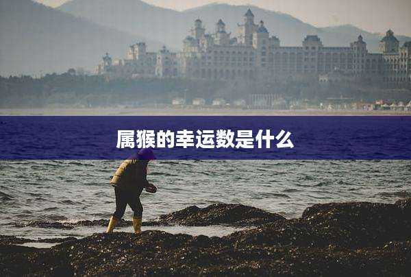 属猴的幸运数是什么