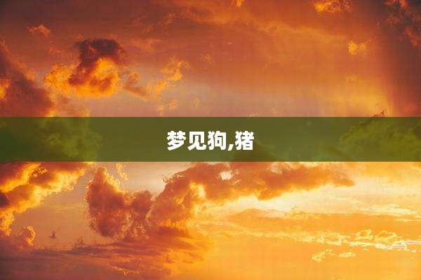 梦见狗,猪