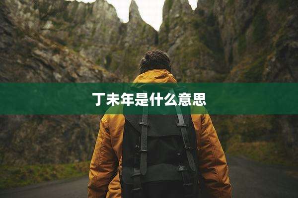 丁未年是什么意思