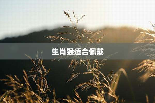 生肖猴适合佩戴